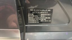 
										Zeekr 001 2022 full									