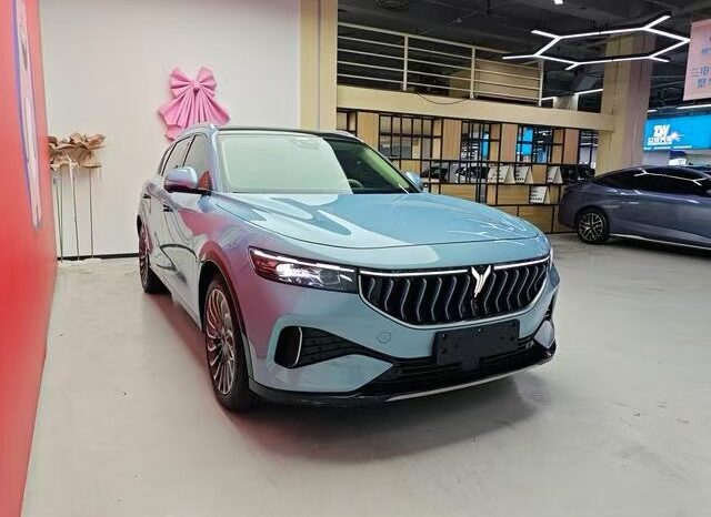 
								Voyah Free 2021 full									
