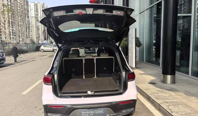 
								Mercedes EQB 260 full									