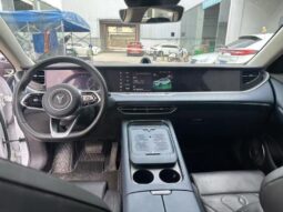 
										Voyah FREE 2024 4WD full									