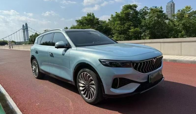 
								Voyah FREE 2021 4WD full									