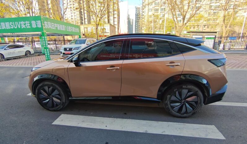 
								Nissan Ariya 90kW 623 km full									