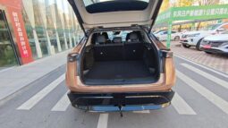 
										Nissan Ariya 90kW 623 km full									