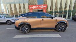 
										Nissan Ariya 90kW 623 km full									